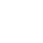Wit logo